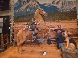 DSC_4909.JPG