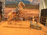 DSC_4916.JPG