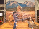 DSC_5192.JPG