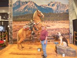 DSC_5437.JPG