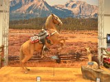 DSC_5511.JPG