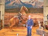 DSC_5533.JPG
