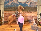 DSC_5562.JPG