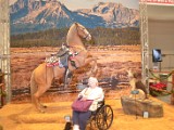 DSC_5857.JPG