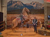 DSC_6014.JPG