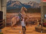 DSC_6061.JPG