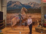 DSC_6063.JPG