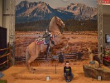 DSC_6075.JPG