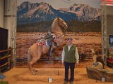 DSC_6082.JPG