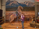 DSC_6108.JPG