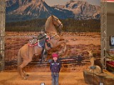 DSC_6138.JPG