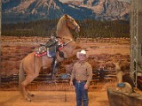 DSC_6177.JPG